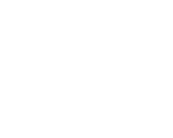 Asel Collection